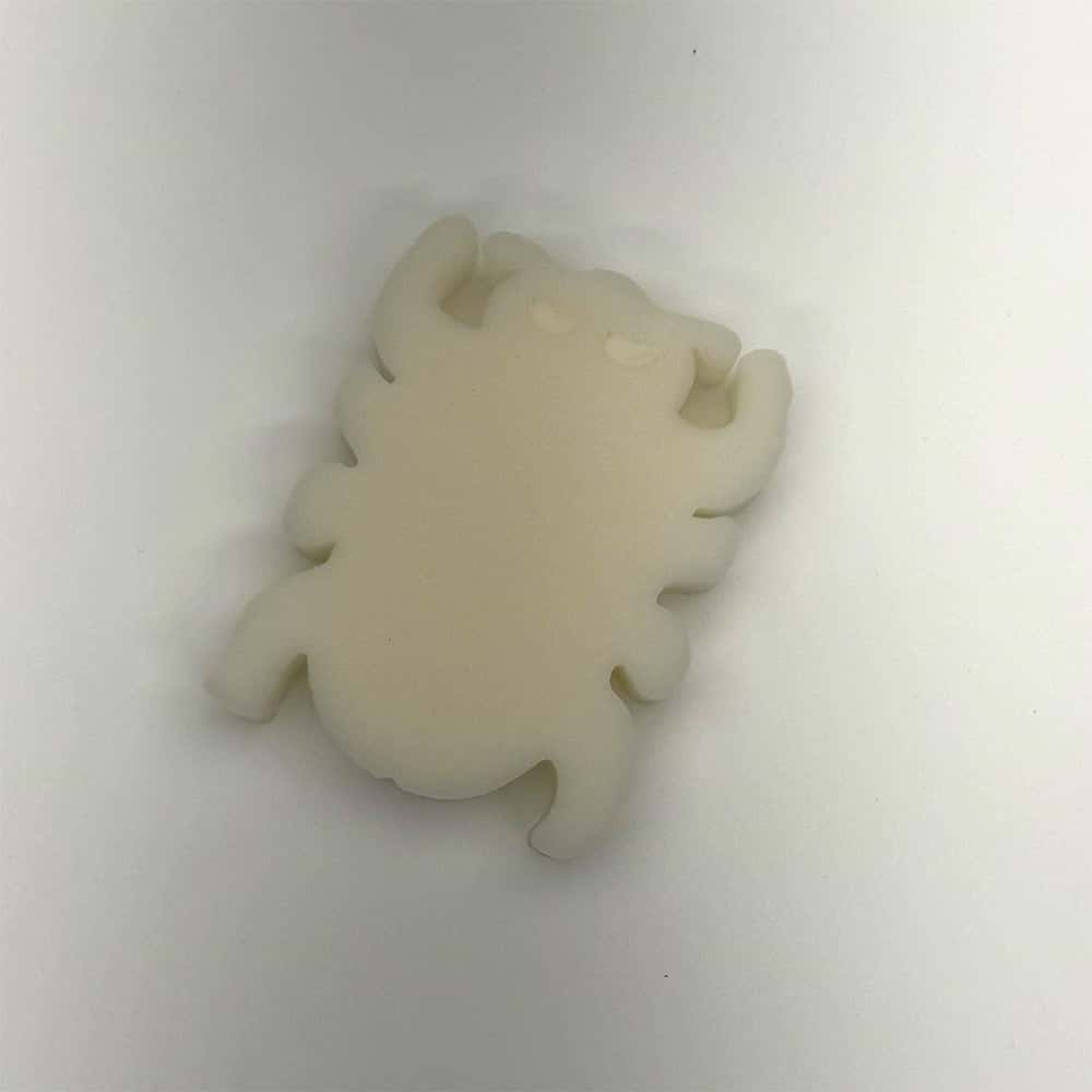 Scum Beetle